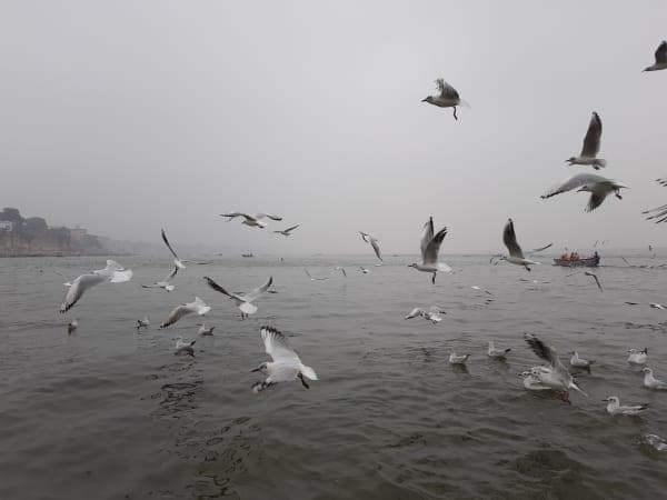 Assi Ghat