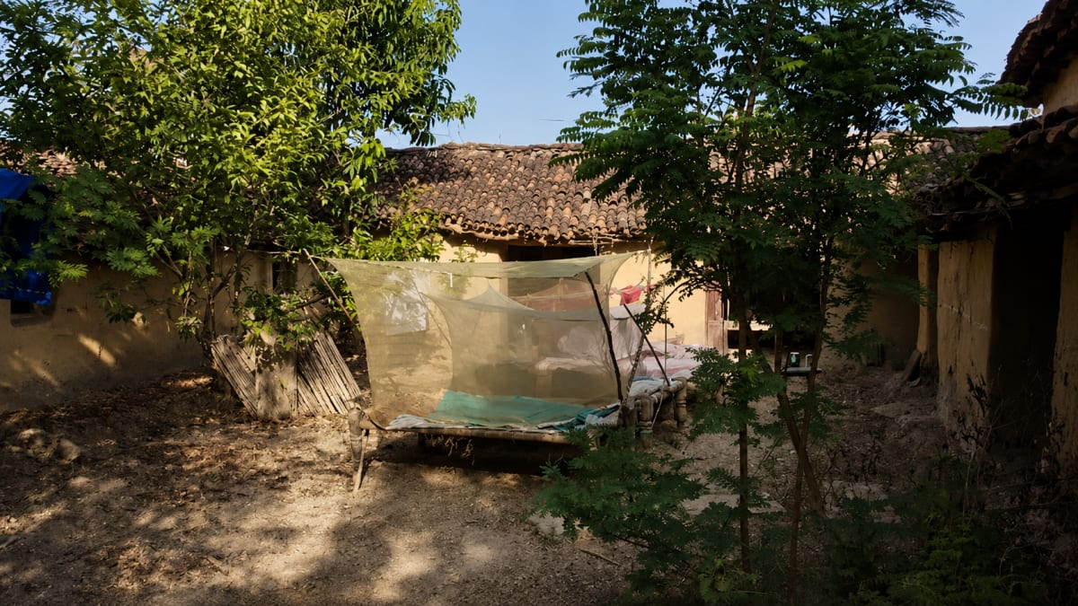 Traditional Village Homes