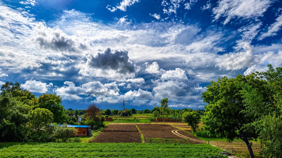Countryside & Open Skies